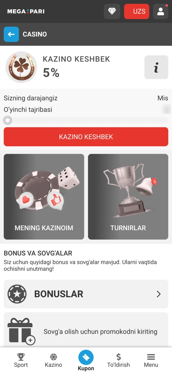 Megapari'da bonus holatingiz va tikish bo'yicha yutuqlaringizni kuzatishingiz mumkin.