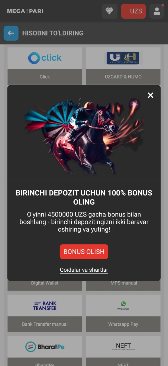 Birinchi depozitingizni kiritib, Megapari xush kelibsiz bonusini talab qiling.