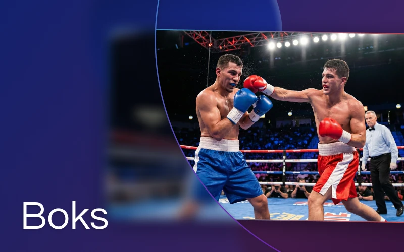 Megapari boks garovlariga jahon chempionligi janglari va mintaqaviy turnirlar kiradi.