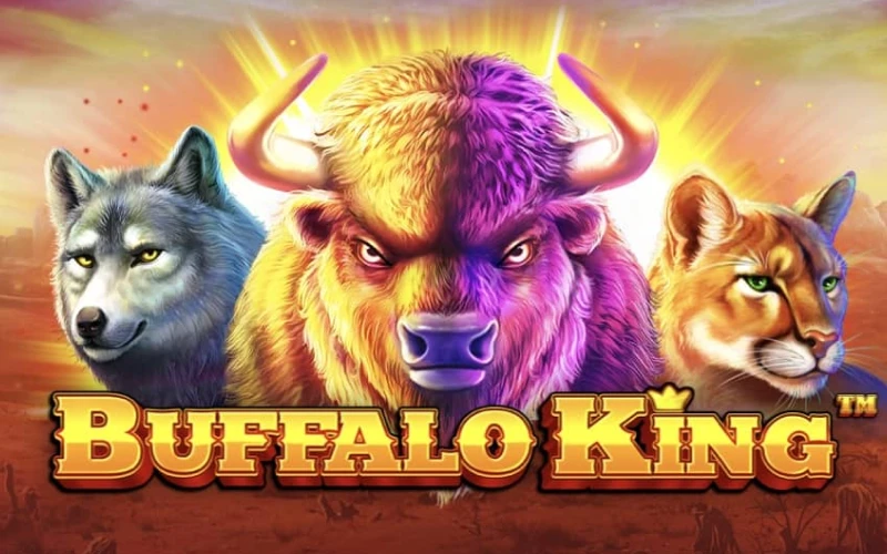 Megapari Buffalo King slot yuqori o'zgaruvchanlik va ko'paytirgichlarni taklif etadi.