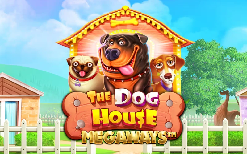 Megapari saytida yuqori o'zgaruvchanlikli The Dog House slotini sinab ko'ring.